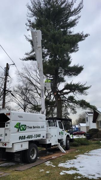KSD Tree Service