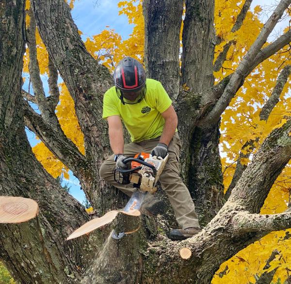 Tristate Tree Service and Firewood