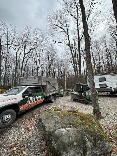Tristate Tree Service and Firewood