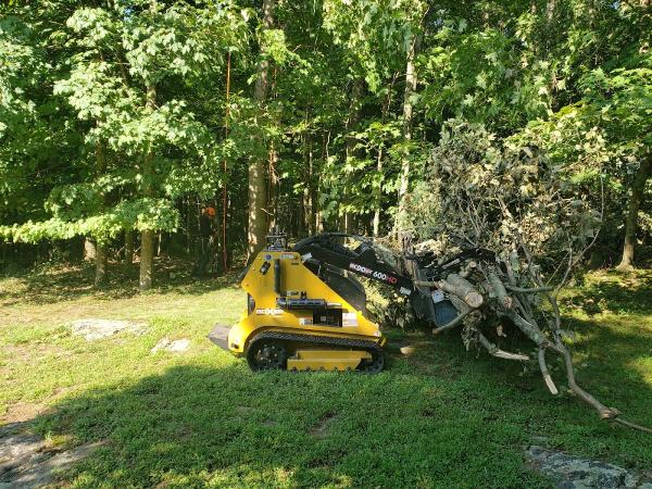 Galvez Tree Service