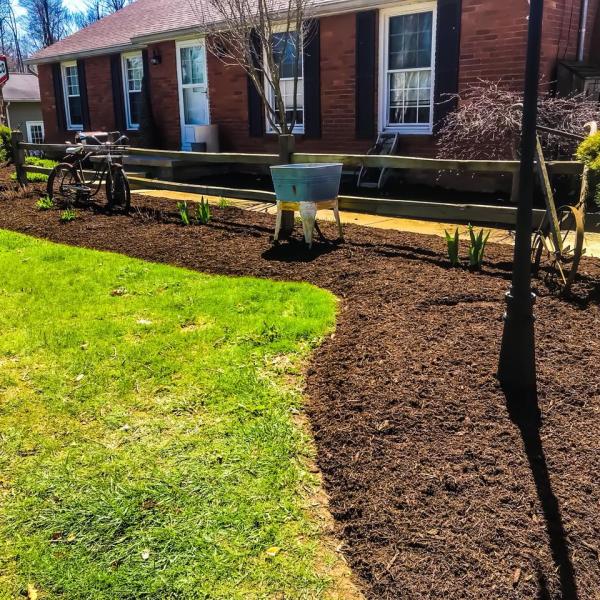 Oasis Lawn Care & Snow Removal