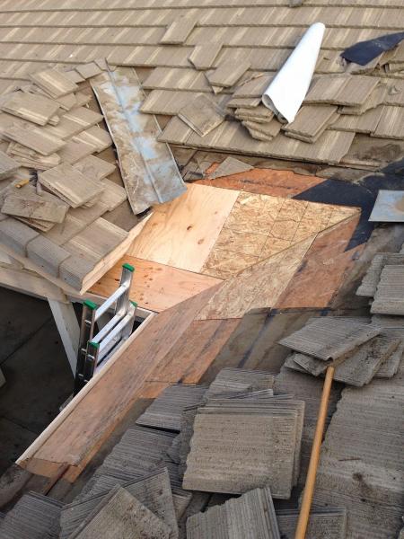 Rescue Roofer