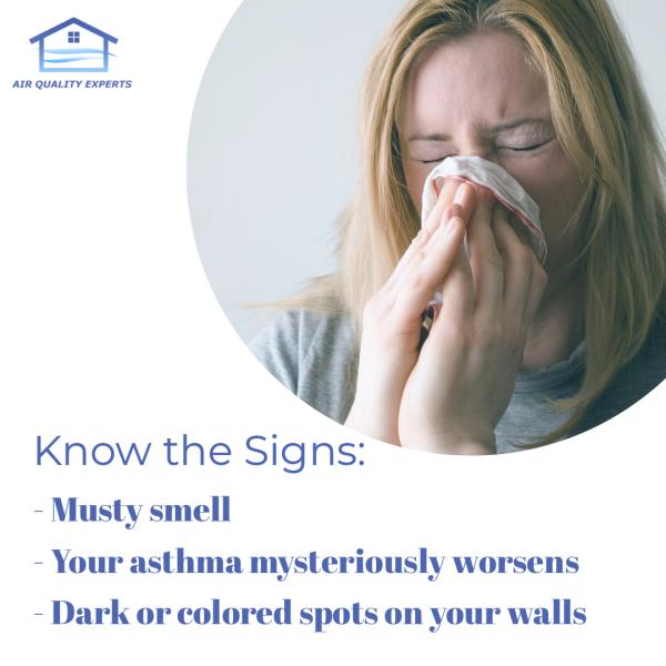 Air Quality Experts Mold Testing & Inspection