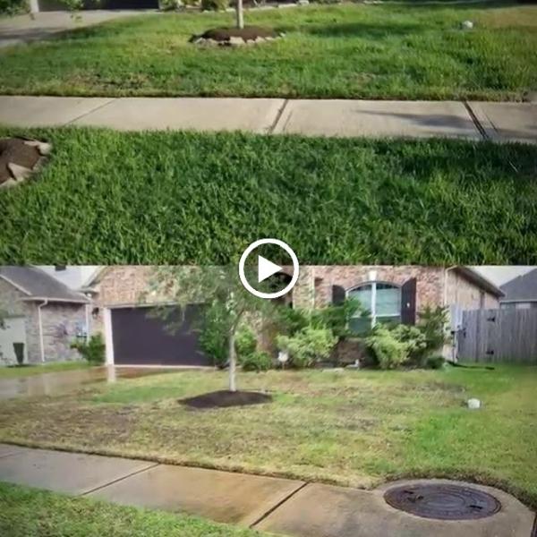 Hippie Fertilizing