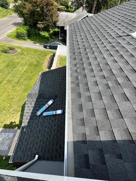 Dex Power Washing and Roof Cleaning
