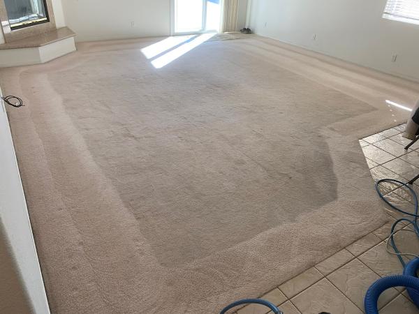 Elite Carpet Care