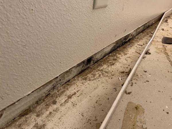 Elite Carpet Care