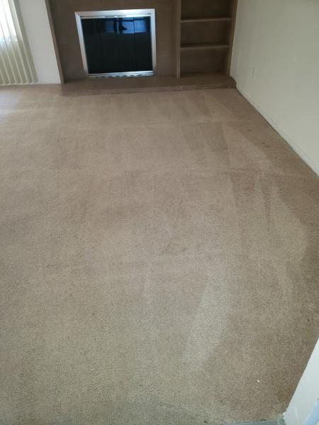Conder Carpet Cleaning