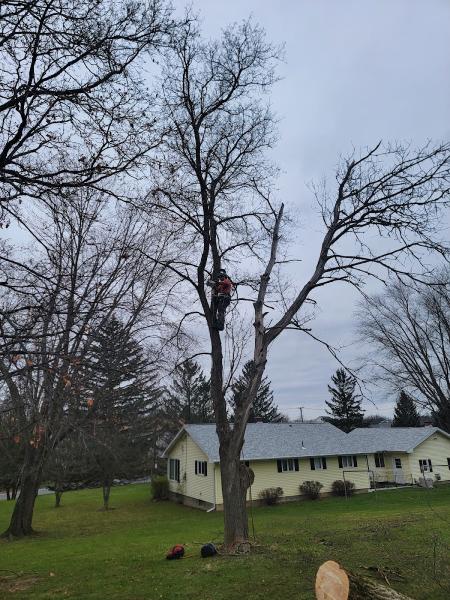 L&S Forestry Services LLC