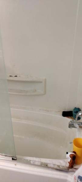 Maria Cleaning Service and Painting