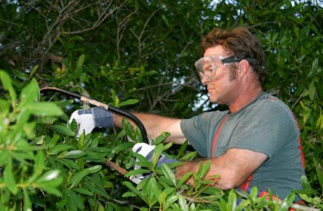 Arborpro Plant Care Experts