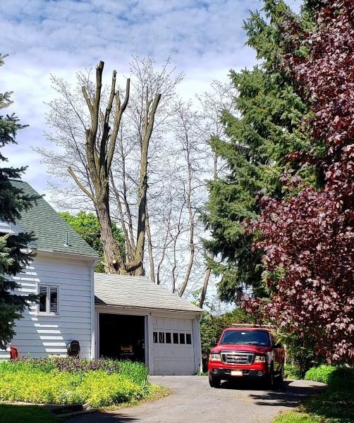 O'Connor Tree Services Co