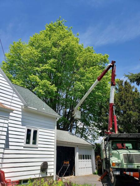 O'Connor Tree Services Co