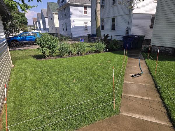 RDK Landscaping and Tree Services