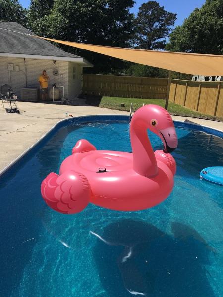 Gray's Pool Services