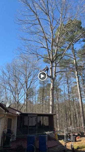 Leaf & Limb Tree Services