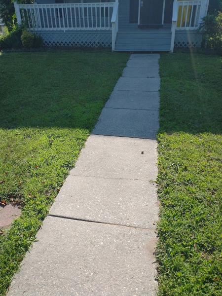 Old Line Lawns