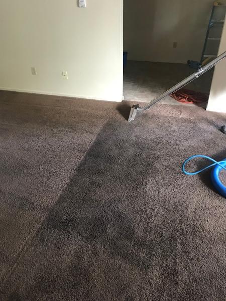 Bishop Carpet & Upholstery Cleaning