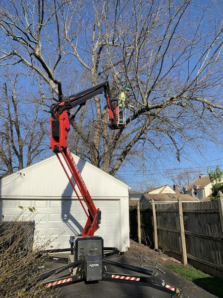 Al's Tree Service