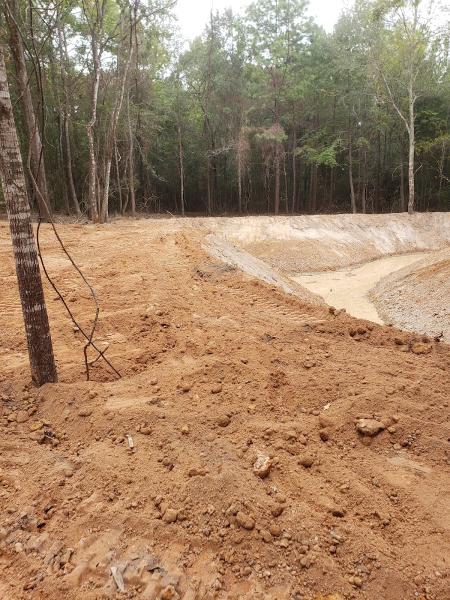 Woodard Tree Service