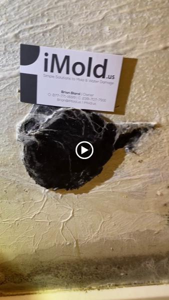Imold Water Damage & Mold Restoration Swfl
