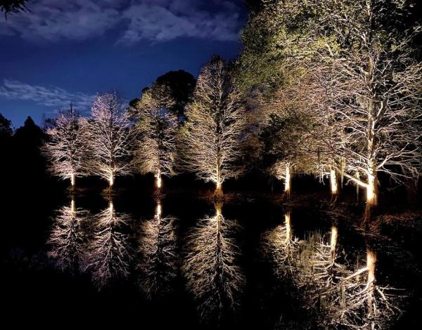 Rainfall Irrigation & Landscape Lighting