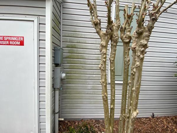 North Georgia Exterior Cleaning LLC