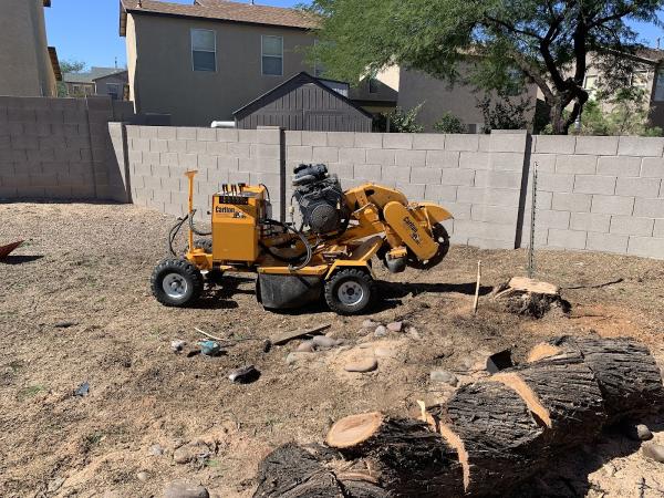 520 Tree Service