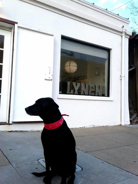 Lynen Interiors