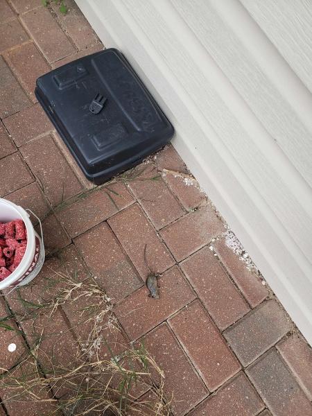 Axcel Pest Control