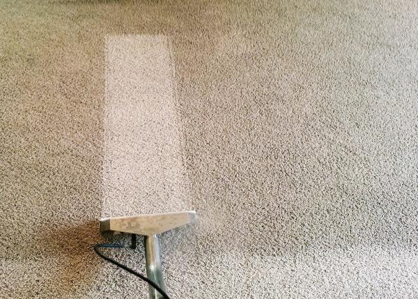Five Star Carpet Cleaning