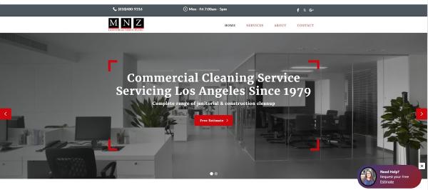 MNZ Janitorial Services