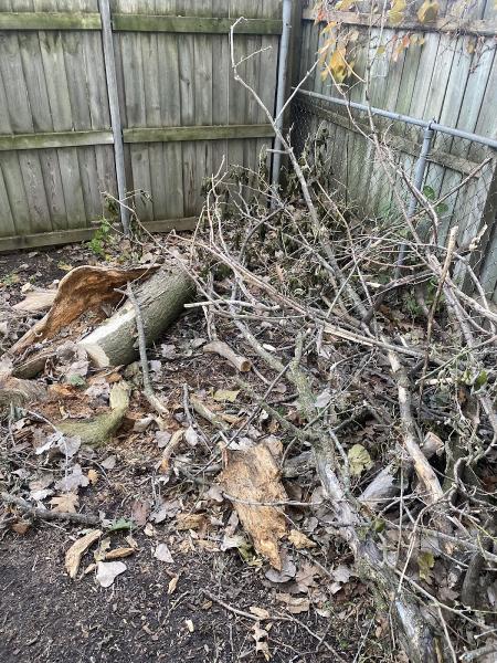 Northern Star Landscaping