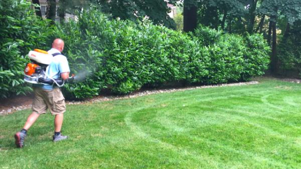 Henderson Fertilizing