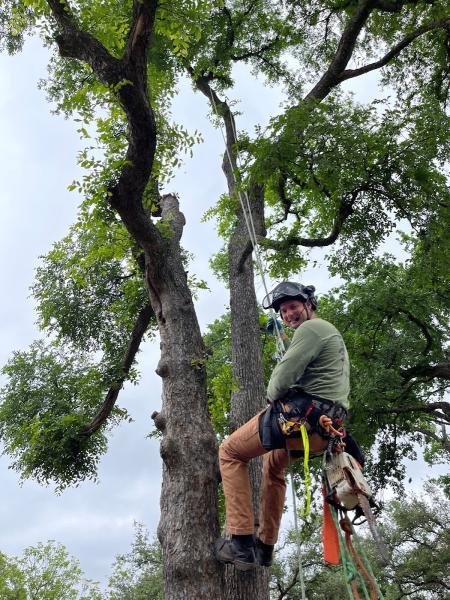 Breitbarth Tree Techs