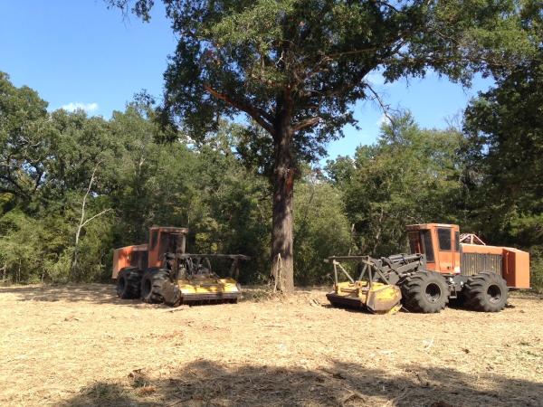 Brush Busters