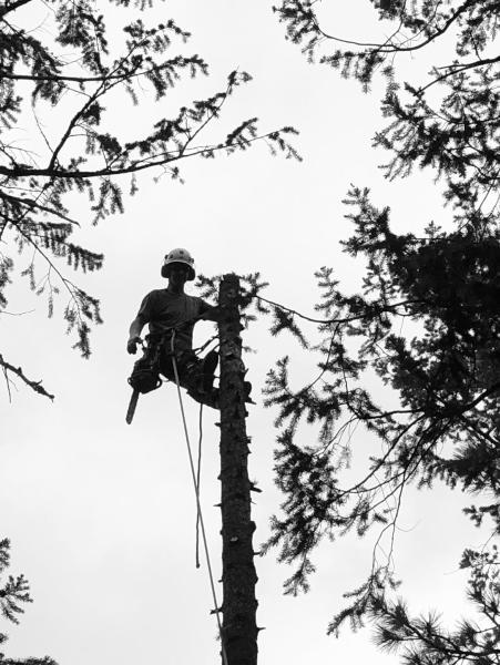 Eby Tree Service LLC