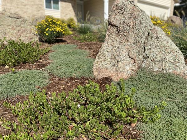 Spruce Landscape & Design