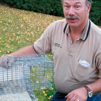 Golden Eagle Pest Extermination & the Mole Men LLC