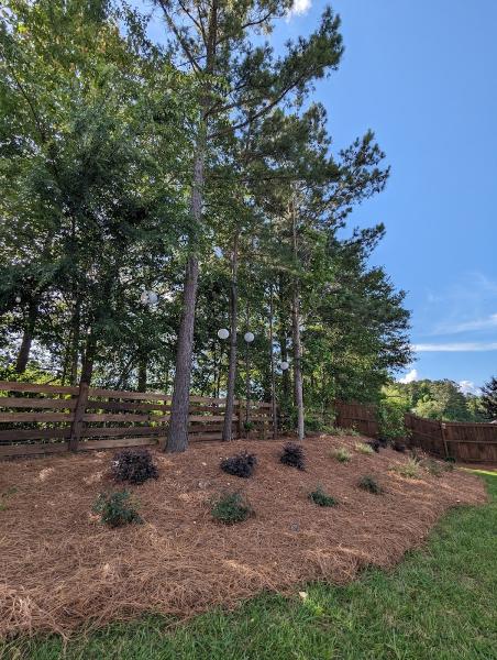 P&H Landscaping