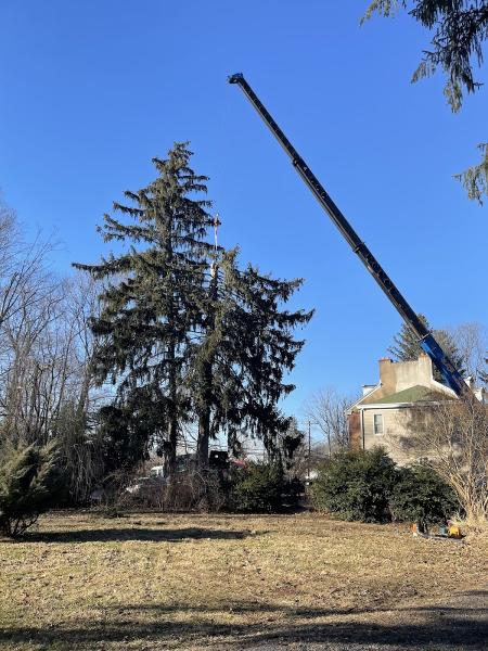 Kents Tree Service