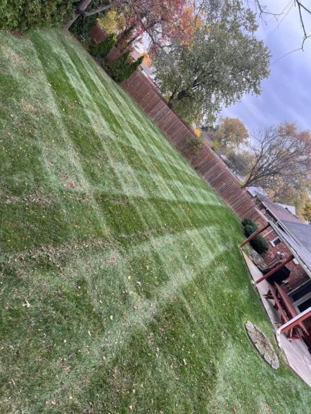 Wise Lawn-Care