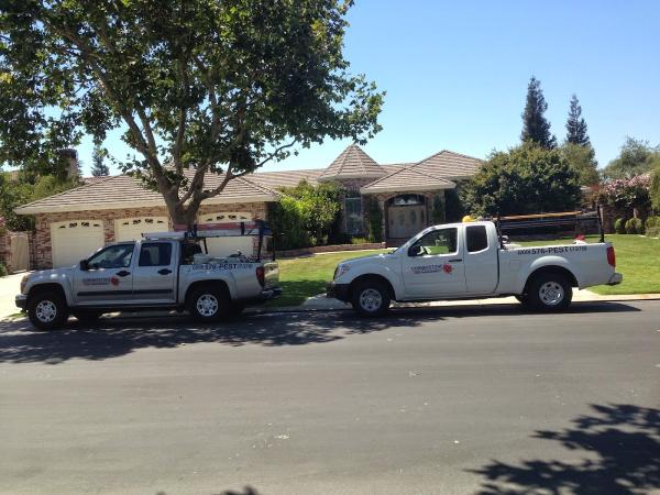 Cornerstone Pest Management