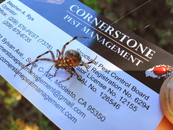 Cornerstone Pest Management
