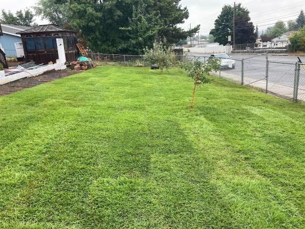 Trinity Landscaping