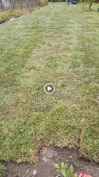 Green Lawn Service