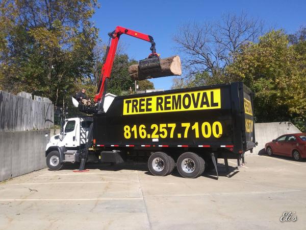 Eli's Tree Service Company
