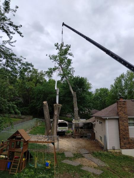 Eli's Tree Service Company