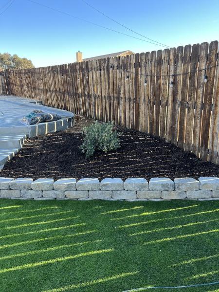 Mojave Curb and Turf