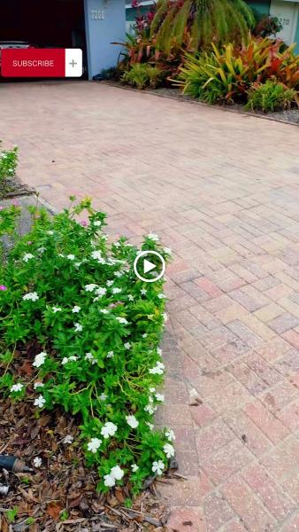 Premier Coatings Brick Paver Sealing